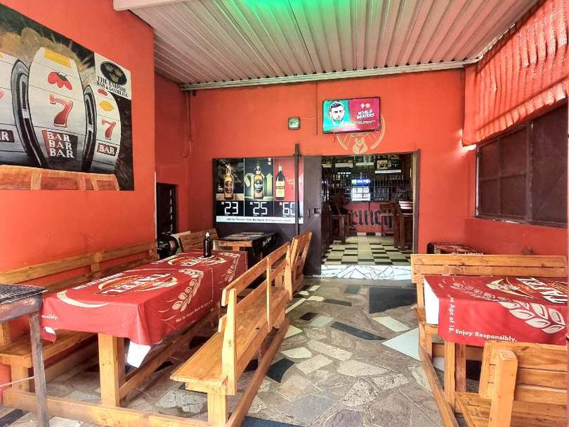 HOUSE & BAR FOR SALE IN HAKAHANA - Photo 7