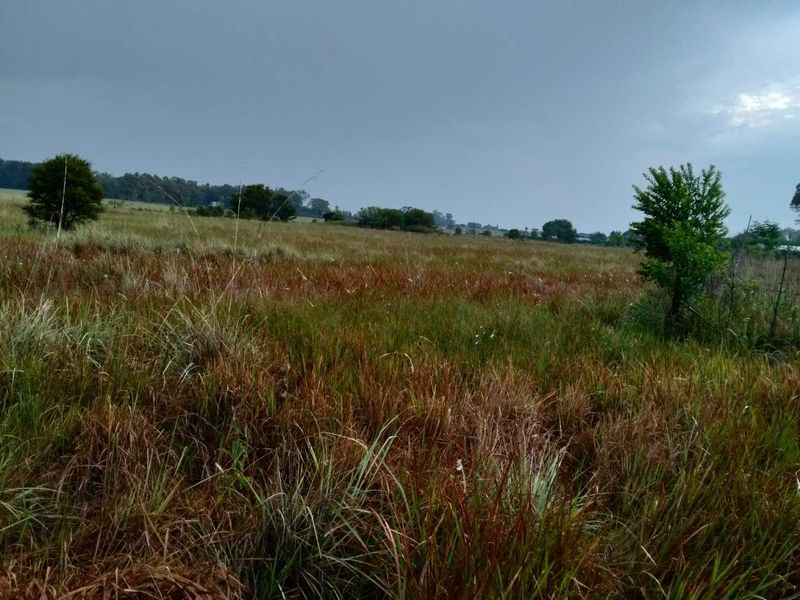 Build Your Dream Home in Serene Emerald Hill Estate! - Photo 2