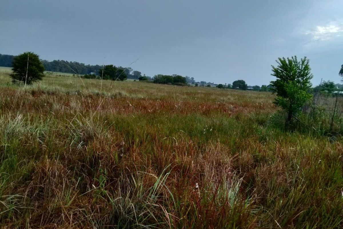 Build Your Dream Home in Serene Emerald Hill Estate! - Photo 2