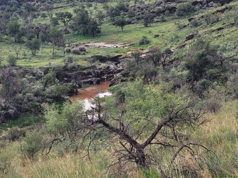 Vacant 13HA undeveloped land for Sale in Daan Viljoen area - Photo 8