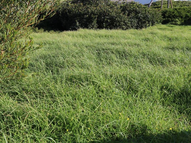 Vacant Land For Sale In Dana Bay - Photo 8