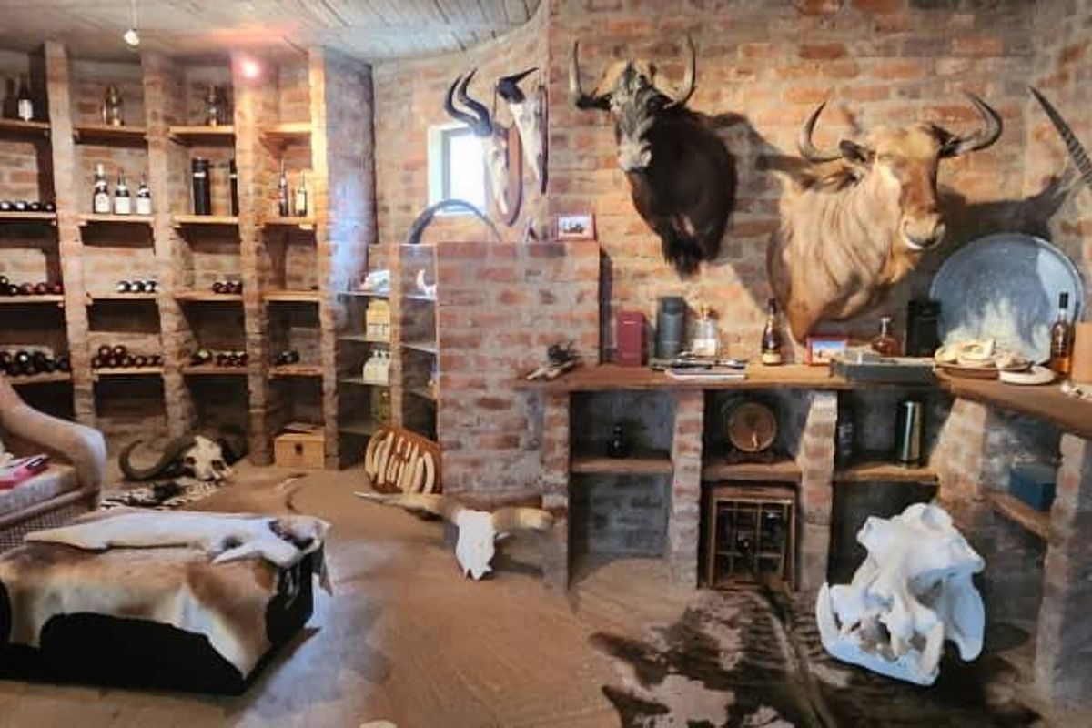 In a quiet street, with views on the mountains - Photo 4