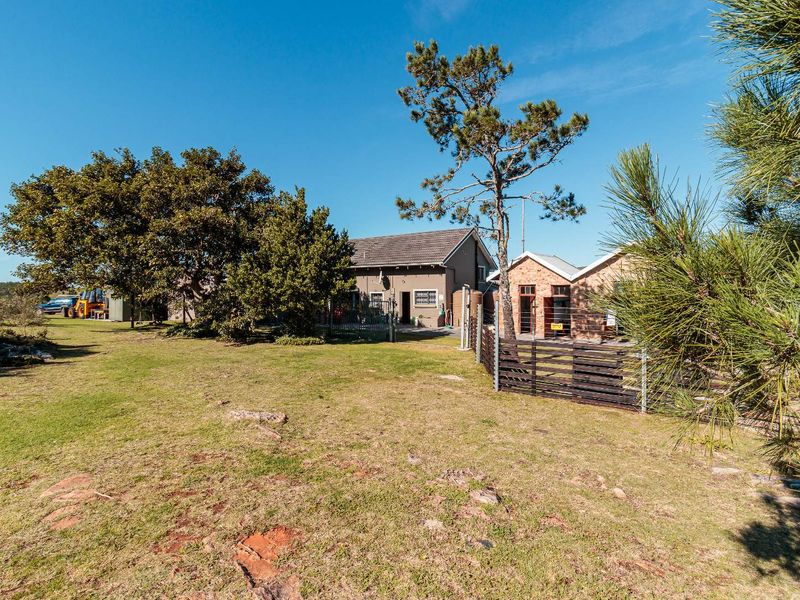 Set within an unspoiled landscape of indigenous Fynbos, this exceptional lifestyle farm... - Photo 9