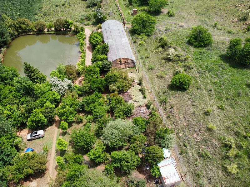 Income-Generating Smallholding with Water Security and Development Potential - Photo 2