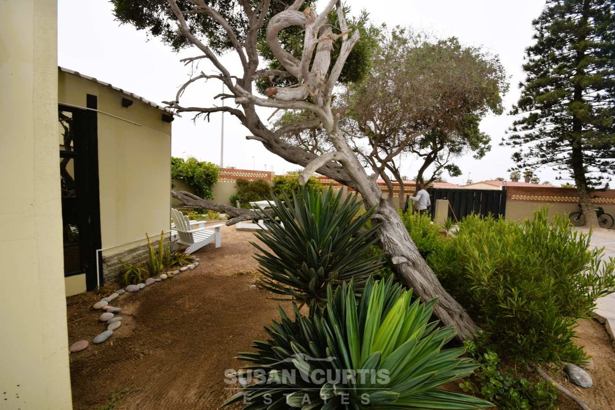 A view of the rear garden area featuring established trees, landscaped shrubs, and a paved pathway alongside the exterior wall of the house.