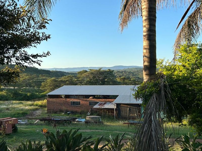 Rare 51ha Farm Jewel: A Versatile Opportunity with Prime Main Road Frontage - Photo 10