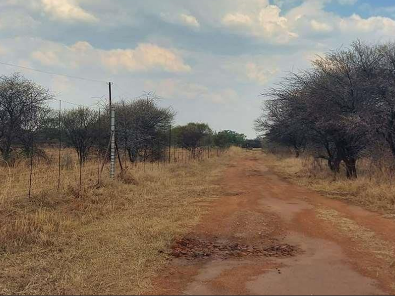 Prime 78-Hectare Farm: Comfort and Convenience Near Naboomspruit - Photo 3