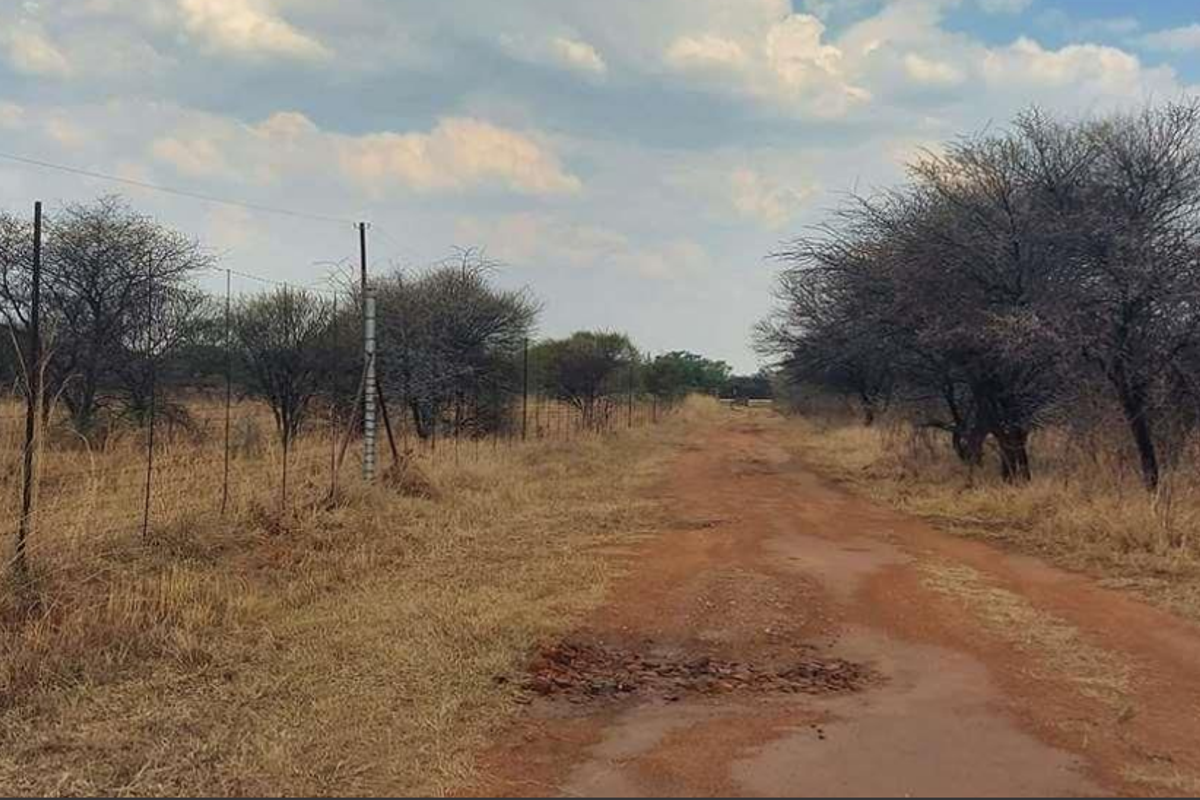 Prime 78-Hectare Farm: Comfort and Convenience Near Naboomspruit - Photo 3