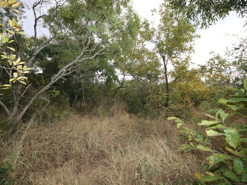 Vacant Land in MODITLO NATURE RESERVE - Photo 5