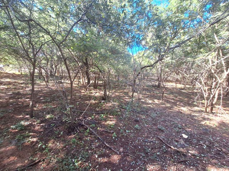 460m2 Stand in Leeupoort - Natures Perfect Canvas - Photo 7