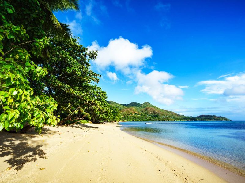 Exceptional Development Opportunity Praslin - Photo 3