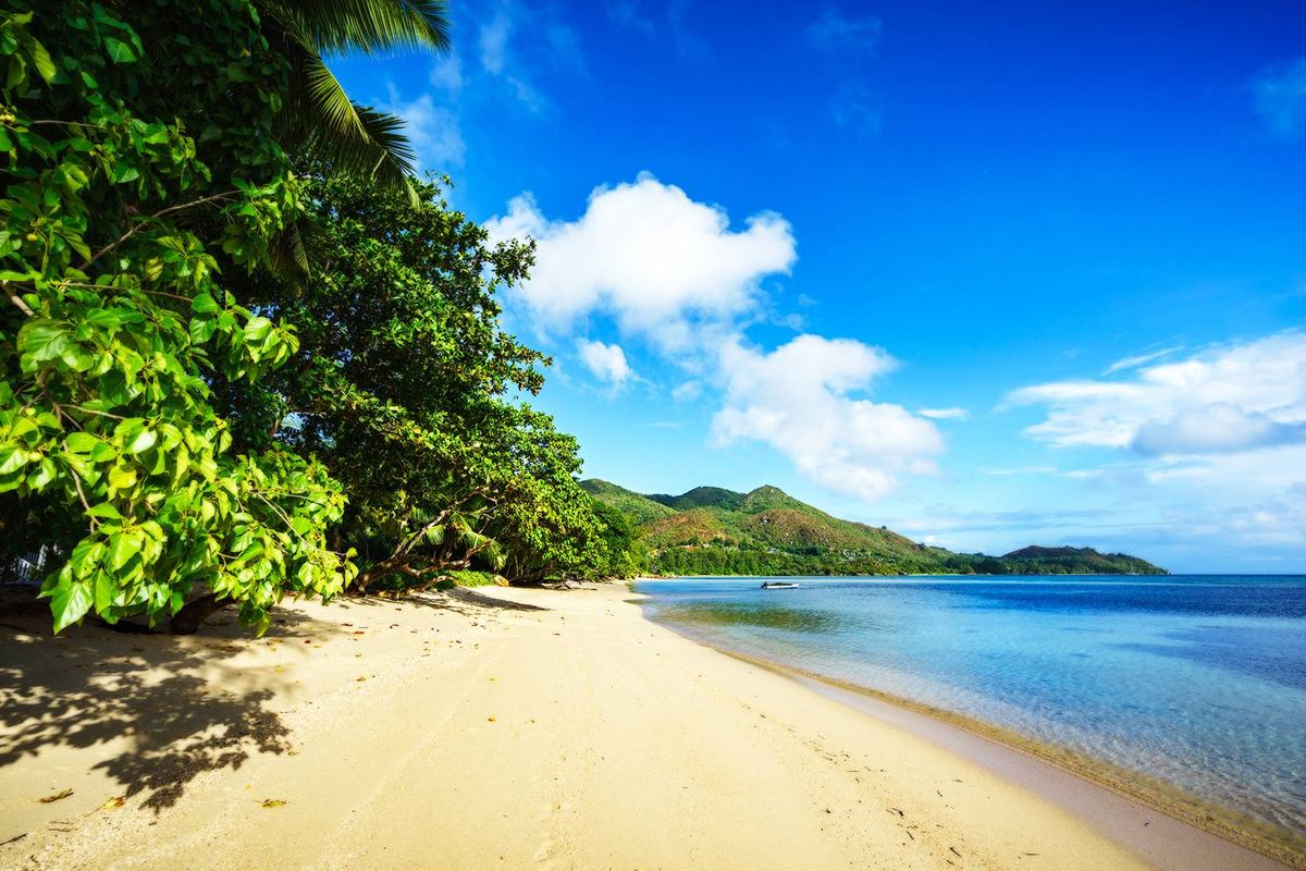 Exceptional Development Opportunity Praslin - Photo 3