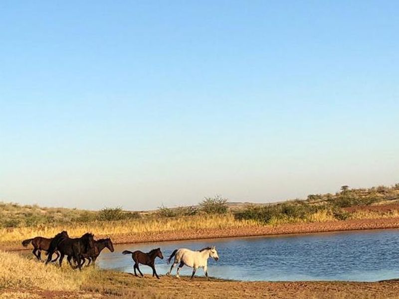 Expansive 7,750 Hectare Property with Exceptional Features - Photo 7