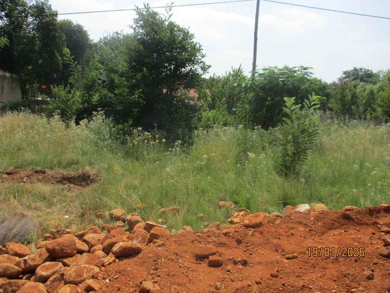 Enjoy the tranquility of Henley - Photo 2