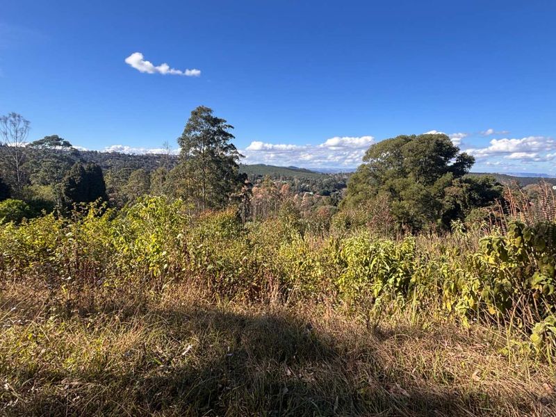 A scenic view overlooking a natural landscape with mature trees and rolling hills, showcasing the potential of this vacant residential land.