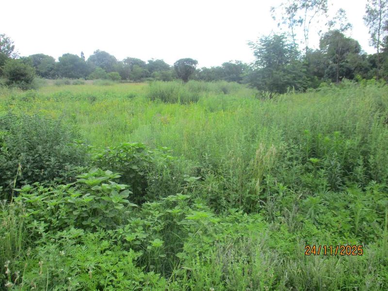 GOOD LOCATION ,STAND IN HENLEY ON KLIP - Photo 4