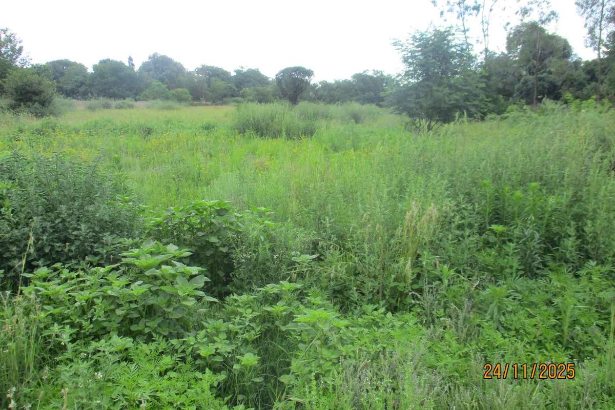 GOOD LOCATION ,STAND IN HENLEY ON KLIP - Photo 4