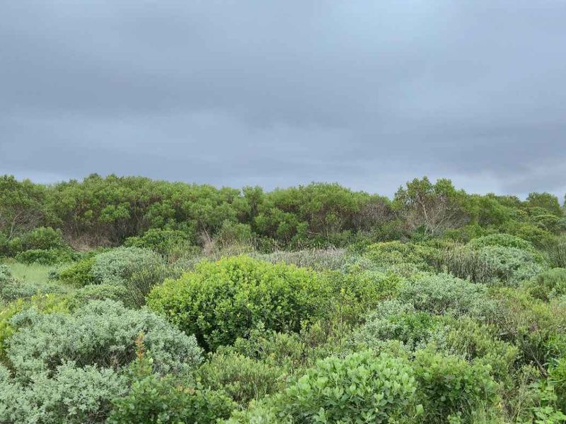 Prime Cul-de-Sac Stand with Mountain Views – Groenberg, Kleinbaai - Photo 5
