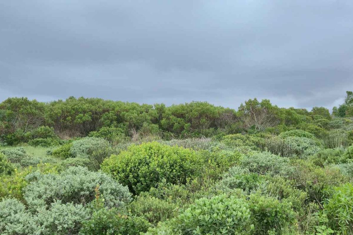 Prime Cul-de-Sac Stand with Mountain Views – Groenberg, Kleinbaai - Photo 5