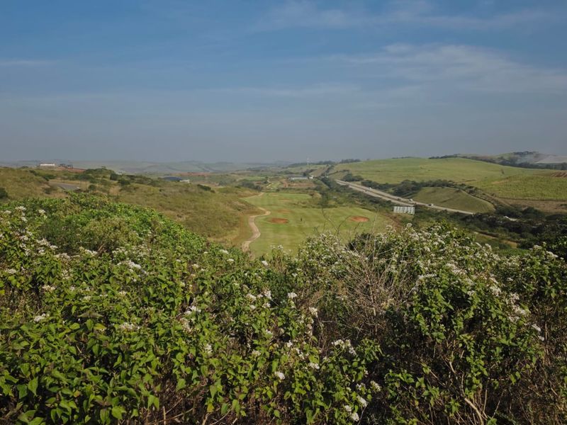A scenic elevated view overlooking a golf course and surrounding natural landscape, showcasing the expansive terrain of the vacant residential land.
