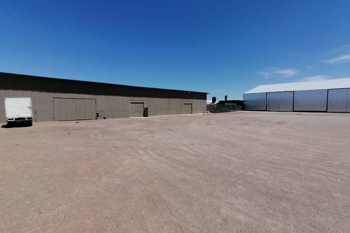 EXCEPTIONAL INDUSTRIAL PROPERTY FOR SALE IN MARIENTAL - Photo 3