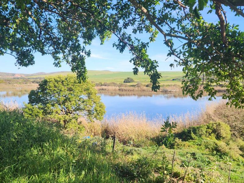 A scenic view of a natural dam on the farm, framed by mature trees and lush green vegetation.