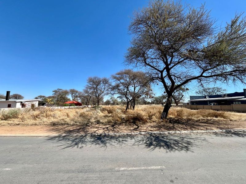 A street-level view of a vacant residential plot featuring mature trees and surrounding boundary walls, offering a clear perspective of the property frontage.