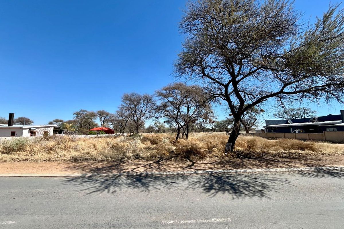 A street-level view of a vacant residential plot featuring mature trees and surrounding boundary walls, offering a clear perspective of the property frontage.
