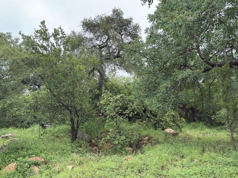 Beautiful stand in Elephant Eco Estate - Photo 7