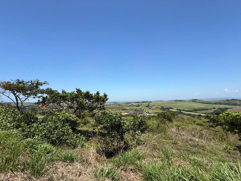 Investment & Modern Living Angle - Photo 3