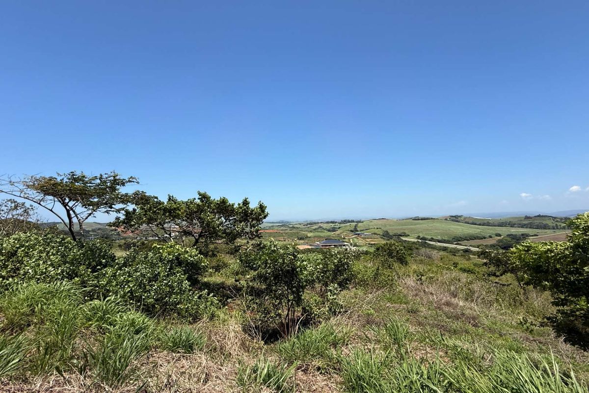 Investment & Modern Living Angle - Photo 3