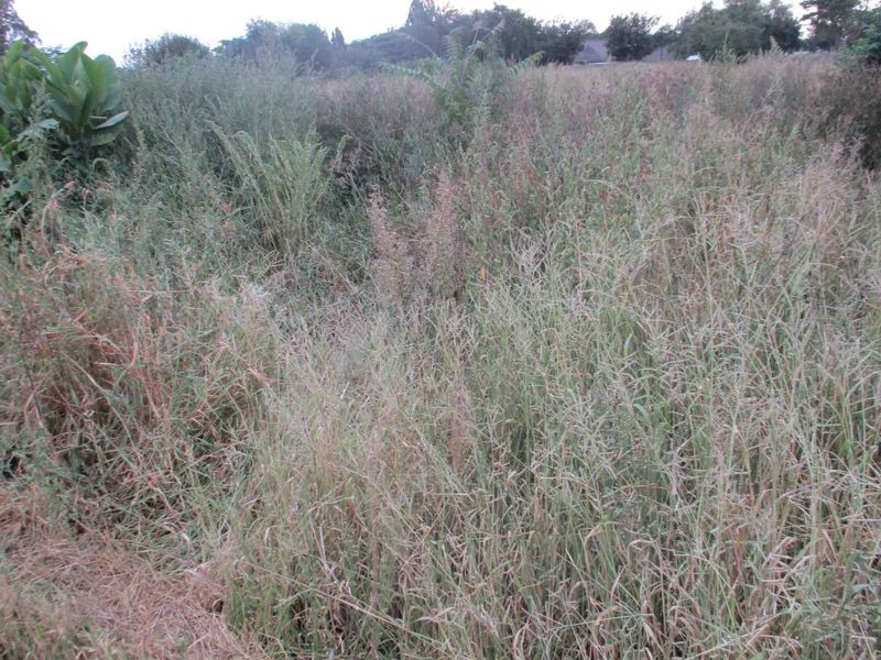 Tranquility in Henley - Photo 4