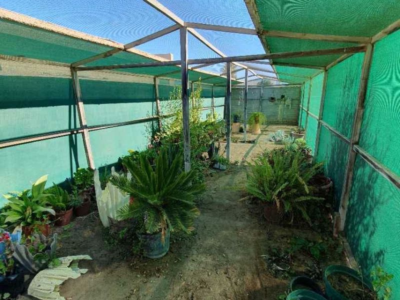 A covered garden area featuring a timber frame structure with green shade cloth, providing a sheltered space for plants.