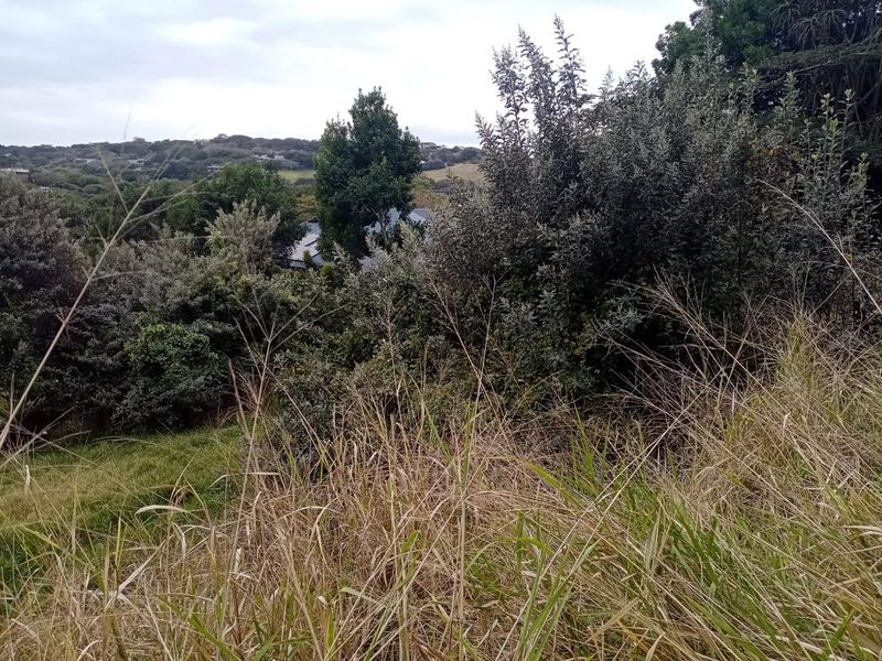 Vacant Land with Approved Architectural Masterpiece - Photo 4