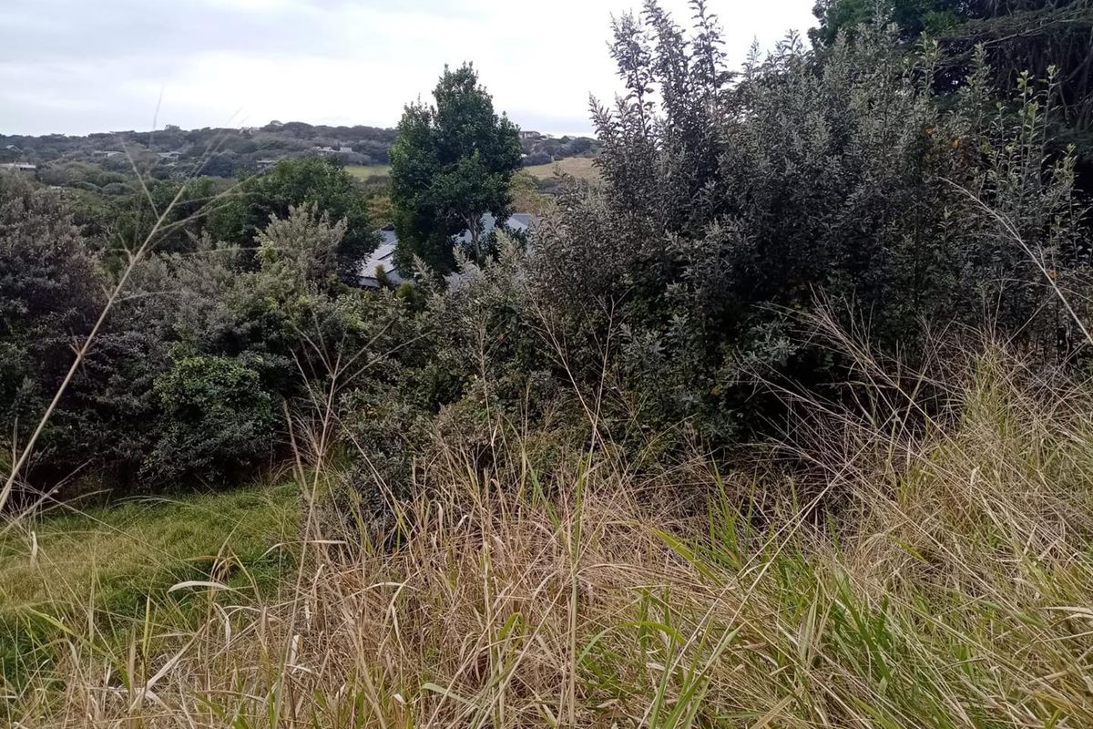 A view of the surrounding landscape and natural vegetation from the vacant residential land plot.