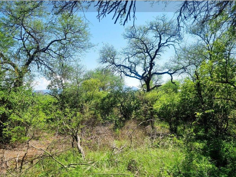 Prime Location in Big 4 Game Reserve!! - Photo 9