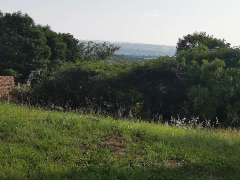 Large Stand for development - Photo 4