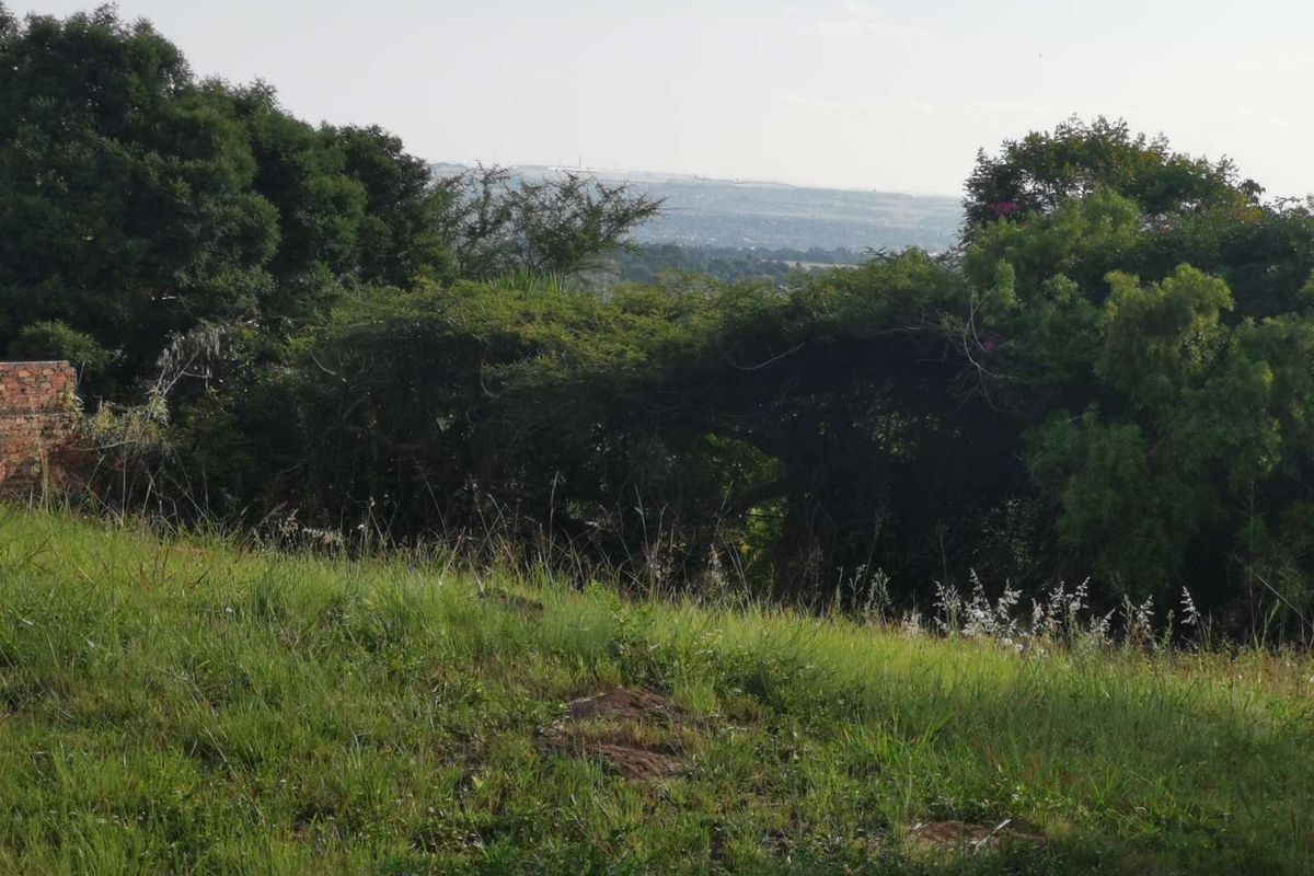 Large Stand for development - Photo 4
