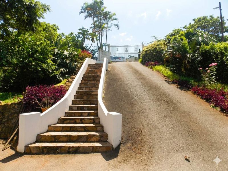 Calling All Renovators & House Flippers! - Photo 7