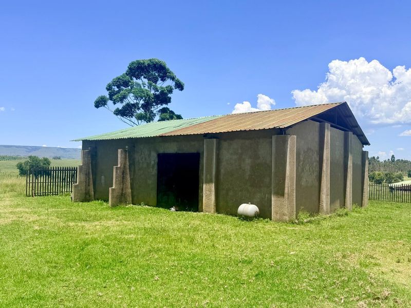 Smallholding for sale in Vryheid area - Photo 5