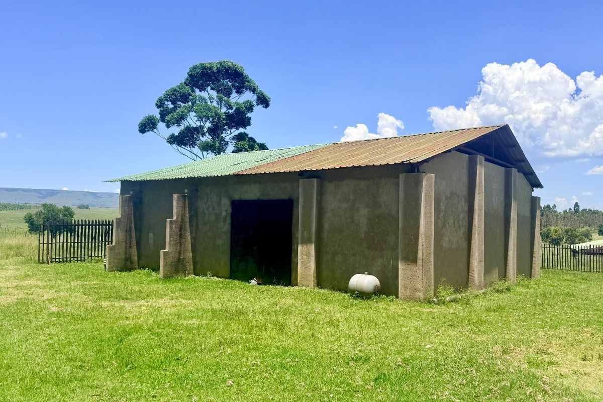 Smallholding for sale in Vryheid area - Photo 5