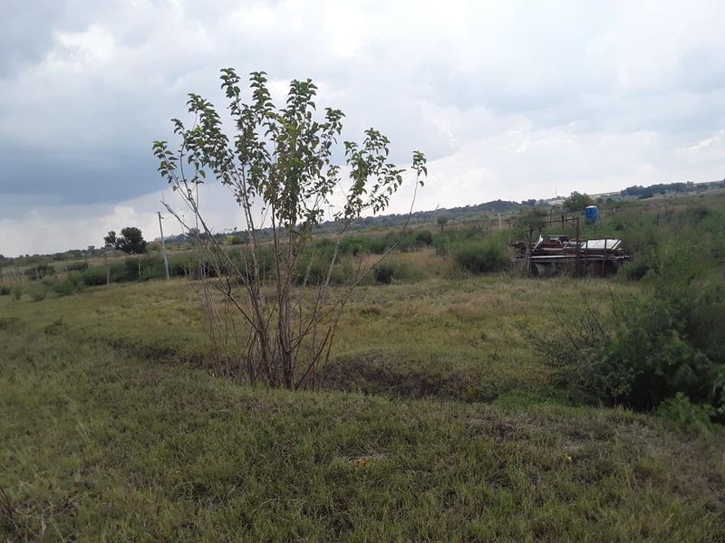 "Farm, Live, Thrive on 9.6 Hectares of Potential VACANT LAND IN KOPJES SETTLEMENT!!! - Photo 10