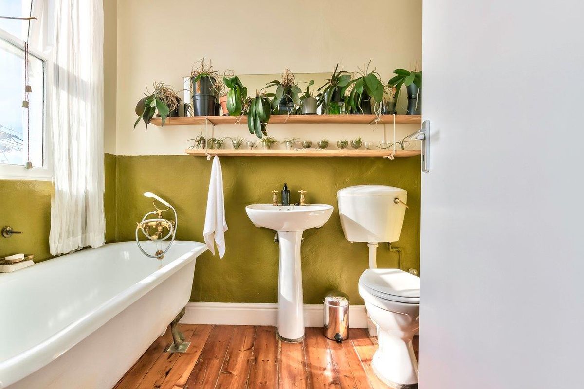 A bathroom featuring a classic clawfoot bathtub, pedestal basin, and toilet, finished with olive green wall accents and original timber flooring.