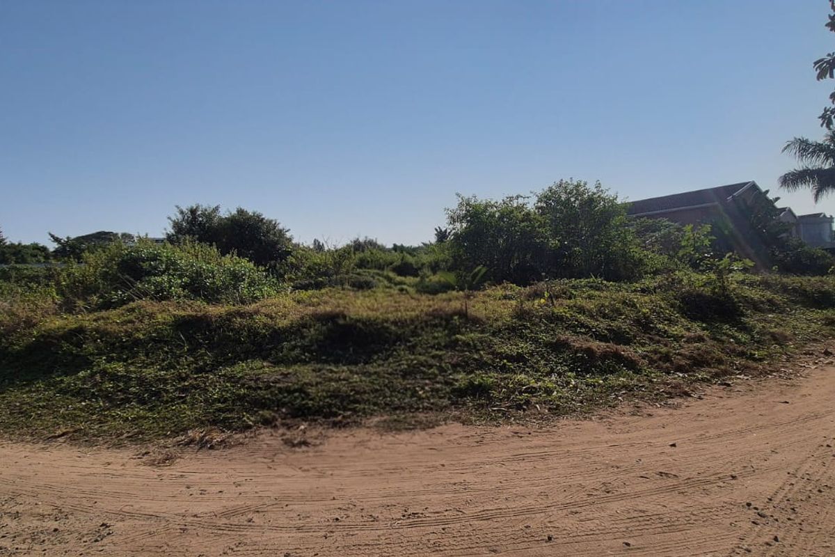 A vacant residential plot featuring natural vegetation and direct access from an unpaved road, offering a blank canvas for future development.