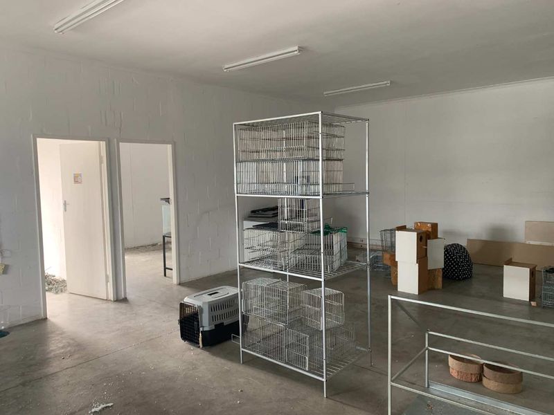 Secure Your Spot in a Thriving Business Hub Today - Photo 5