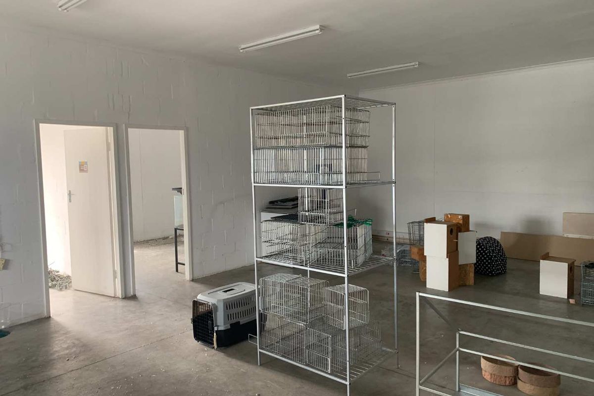 Secure Your Spot in a Thriving Business Hub Today - Photo 5