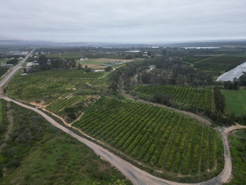 Aerial view of the farm property featuring extensive orchards, access roads, and surrounding landscape.