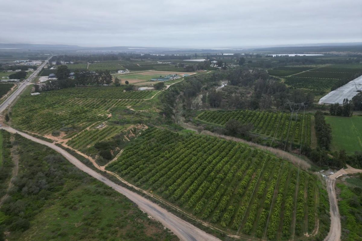 Aerial view of the farm property featuring extensive orchards, access roads, and surrounding landscape.