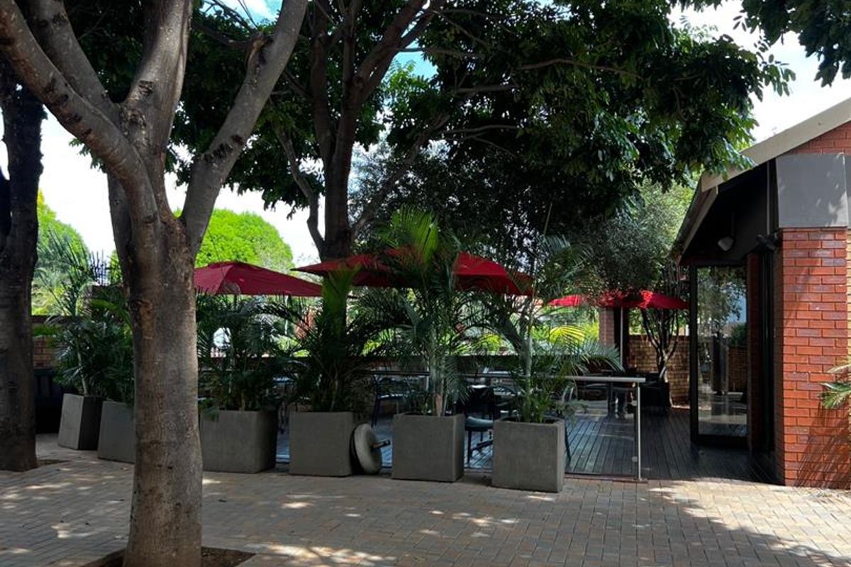 A paved outdoor courtyard area featuring mature trees, a raised wooden deck, and brick exterior walling, providing a shaded and pleasant outdoor space.