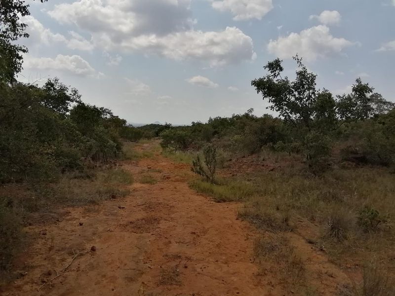 Build your dream retirement in the bushveld - Photo 8